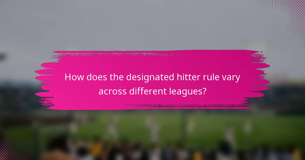 How does the designated hitter rule vary across different leagues?