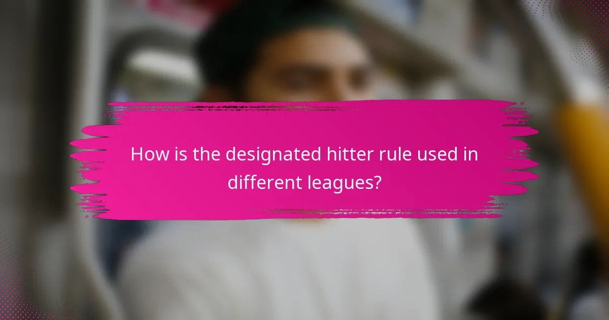 How is the designated hitter rule used in different leagues?
