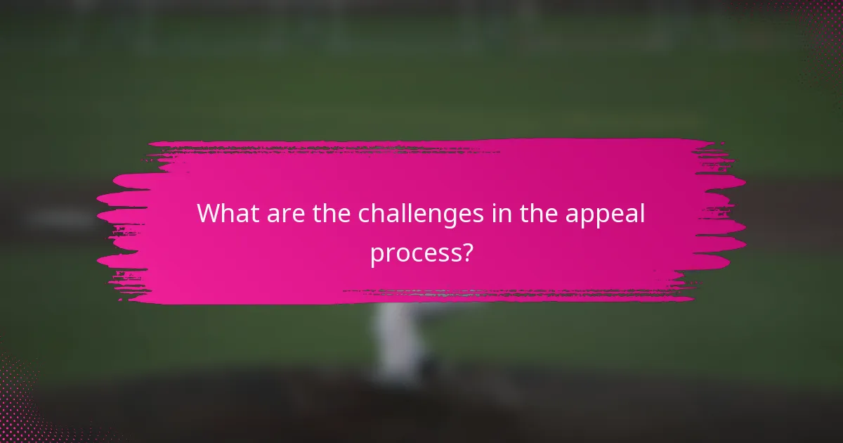 What are the challenges in the appeal process?