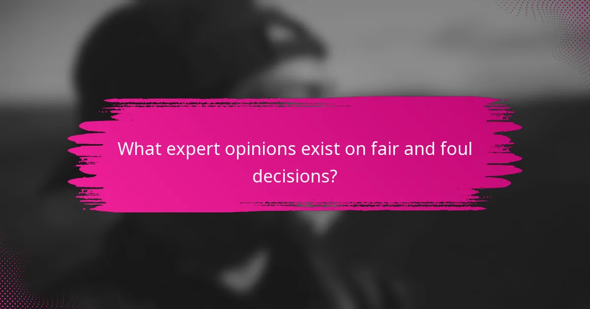 What expert opinions exist on fair and foul decisions?
